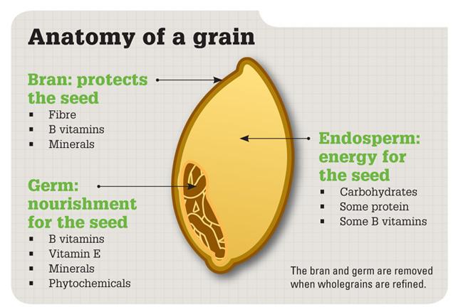 Anatomy of a grain